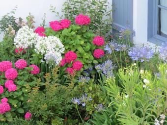 Bed & Breakfast Maison D'h�tes Brin De Palmier