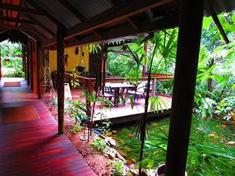 Lodge Daintree Rainforest Retreat Motel