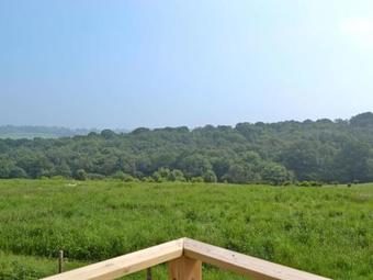 Poacher's View