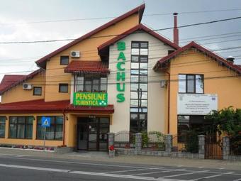 Hostal Pensiunea Bachus