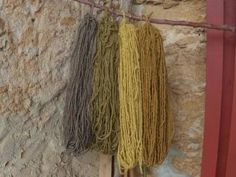 B&B Casa Lussu