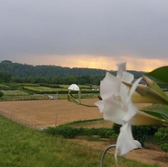 Bed & Breakfast Le Vigne Sull?adda