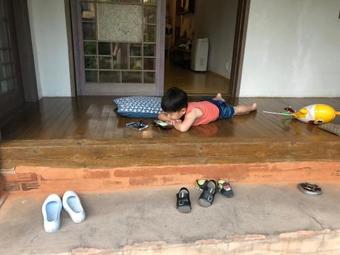 Ver fotos