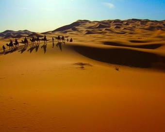 Desert Eyes