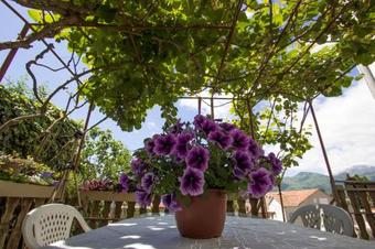 Hostal St. Roko Guest House