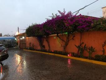 Ver fotos
