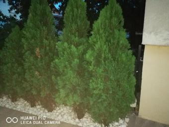 Hostal Vila As Lux