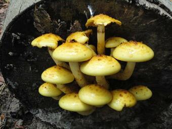 Eifelhotel Malberg