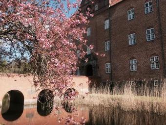 Hotel Sostrup Slot