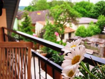 Apartamento Ferienwohnung Am Wanderweg