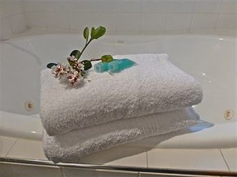 Motel Park Ridge Retreat