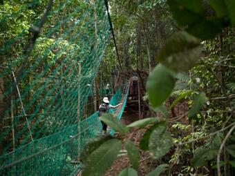 Hotel Borneo Tropical Rainforest Resort