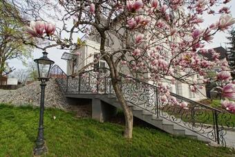 Versant Hotel & Spa