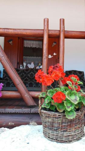 Hostal Cabana Bucin