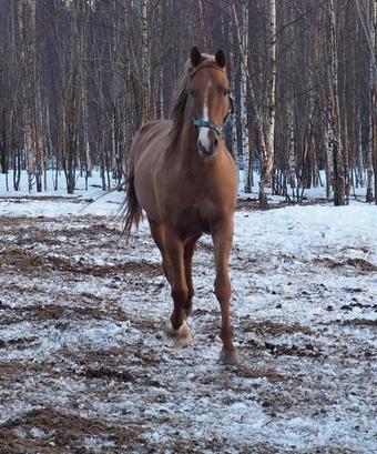 Agroturismo Sollaand Home With Sauna And Hammam