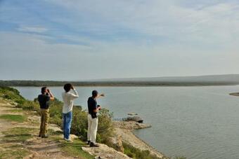 De Hoop Collection