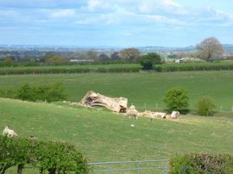 Farrier Cottage