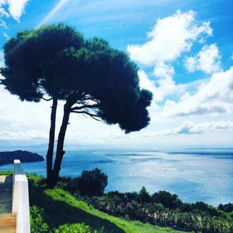 Ver fotos
