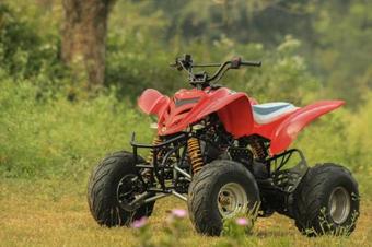 Hostal Bamboo Banks Farm & Guest House