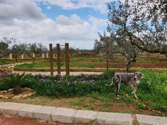 Agroturismo Agriturismo Duca Di San Martino