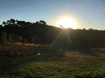 Bed & Breakfast Stellar Overberg Travellers Lodge