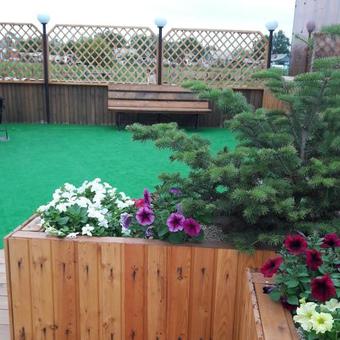 Motel Negus