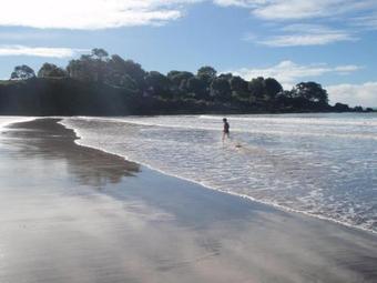 Nga Puriri Bed And Breakfast