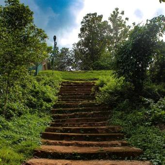 Hostal Paradise Forest Garden