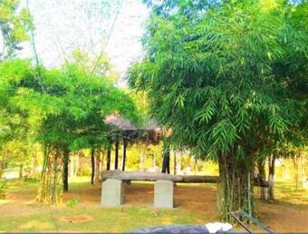 Hotel Royal Bamhni Holiday Resort