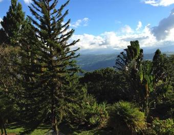 Vista De Paz