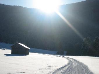 Hostal G�stehaus Proisl