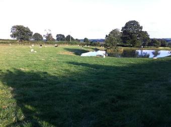 Bed & Breakfast Crich Lane Farm