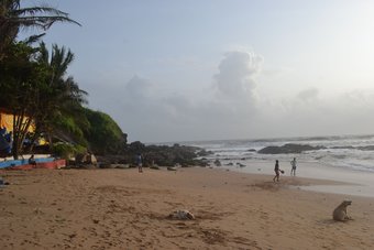 Ver fotos