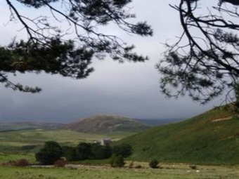 Aln Valley Cottages