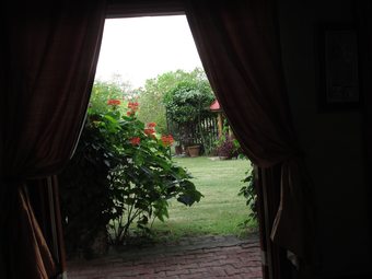 Ver fotos