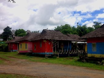 Ver fotos