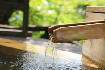 Hotel Spa Greenness
