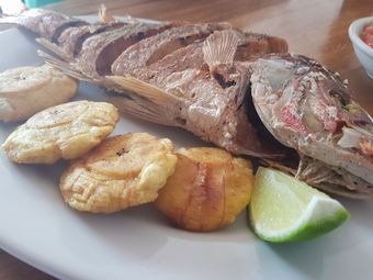 Ver fotos