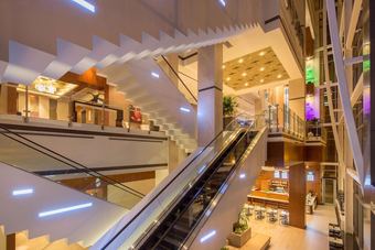 Hotel Hilton Norfolk The Main