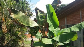 Hotel Campestre Camino Real Pereira