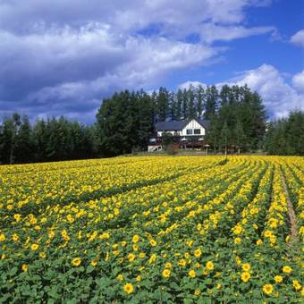 Posada Auberge Adagio Hokkaido