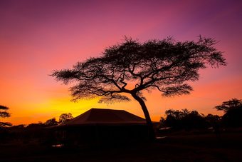 Posada Kisura Serengeti Tented Camp