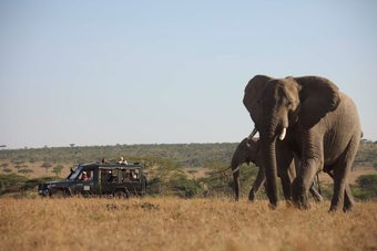 Kicheche Valley Camp - All Inclusive