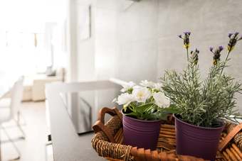 Apartamentos Sol Arenal City Center