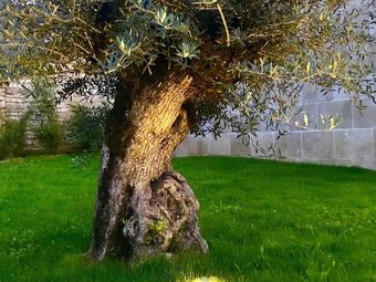 Hotel Clos Pierre Arnaud - Spa