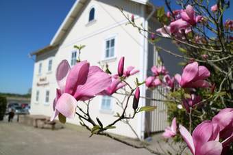 V�nerport Hotel