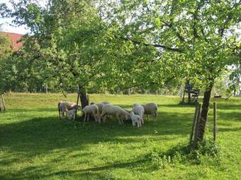 Agroturismo Gut Grasleiten