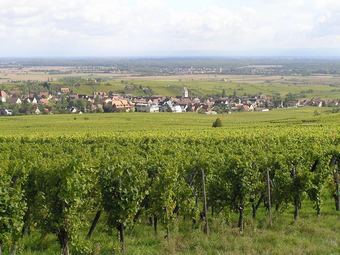 Centre Le Mittel
