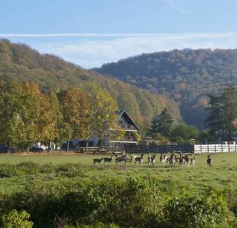 Hostal Pension Margarete