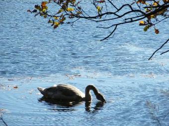 Apartmenthotel Garni "g�rtnerhaus Schloss Reinharz"